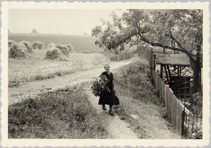 Meerane Sperlingsberg in der Crotenlaide