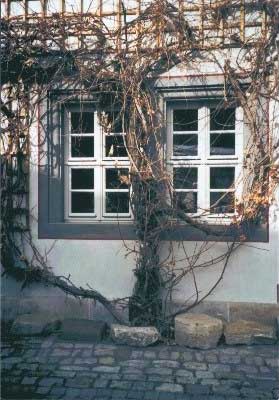 Cafe Bauersfeld