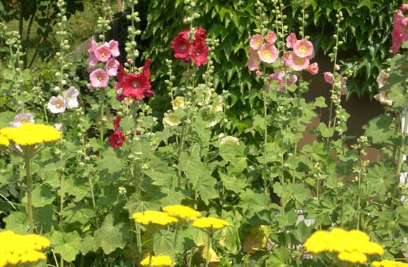 Wunderlich-Garten